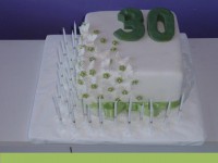 /album/fotogaleria/tortyjubilea84-jpg/